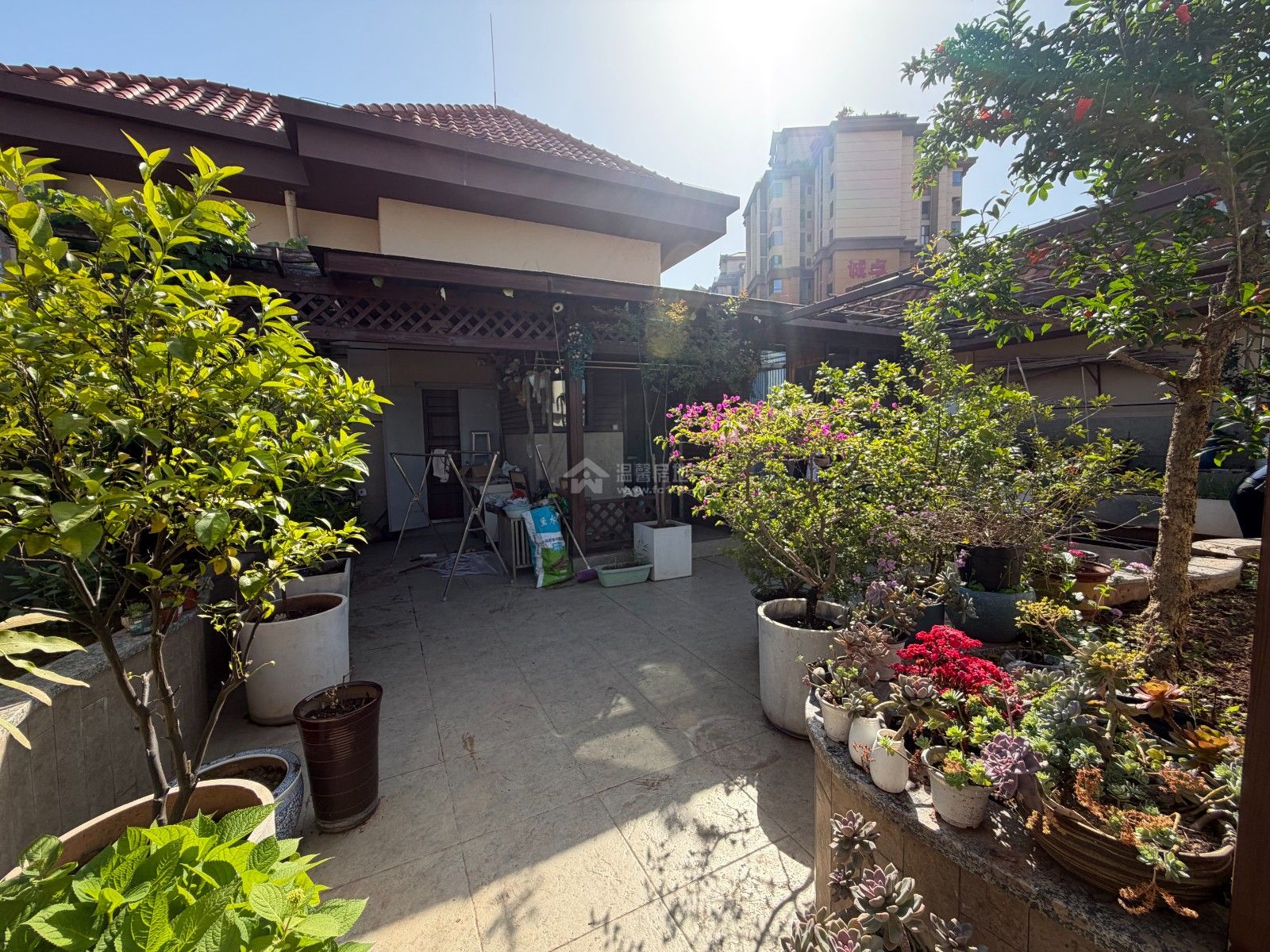 M-29052二手房图片