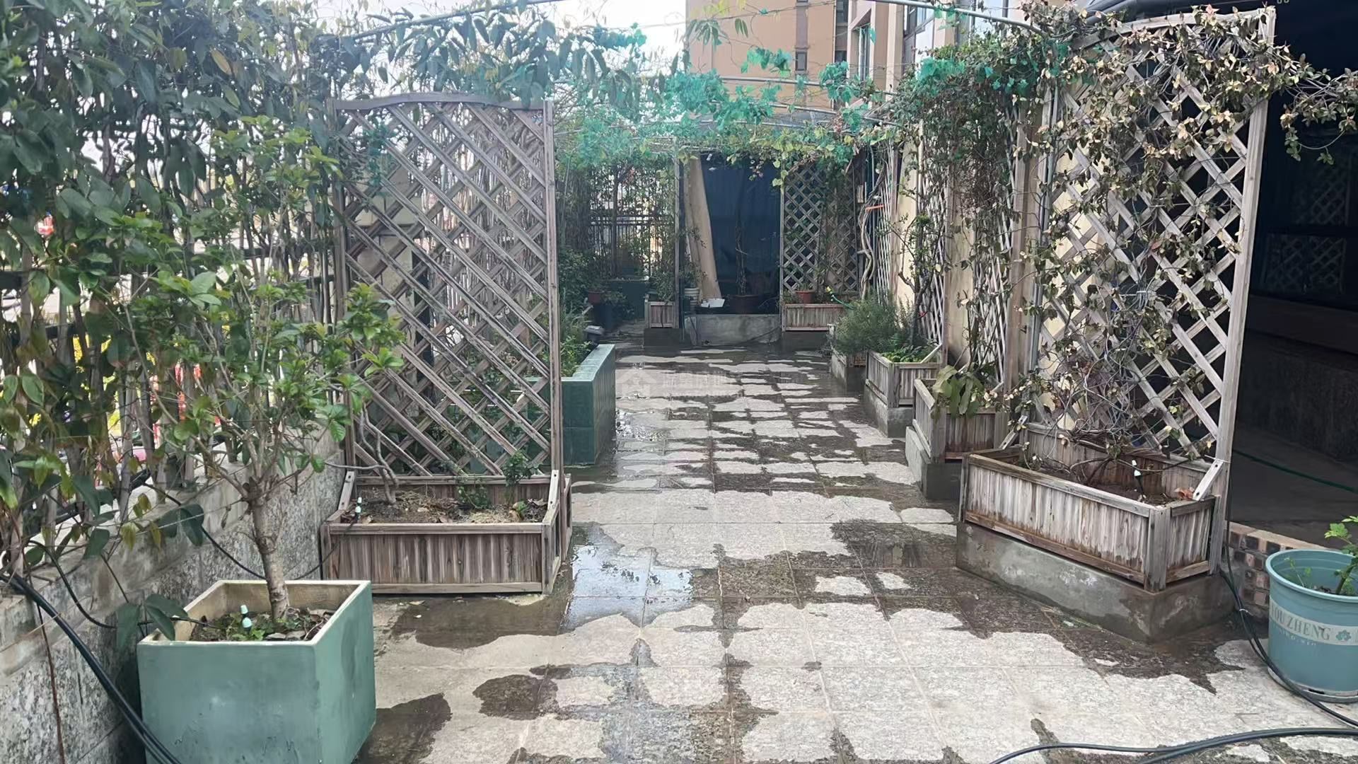 M-40209二手房图片