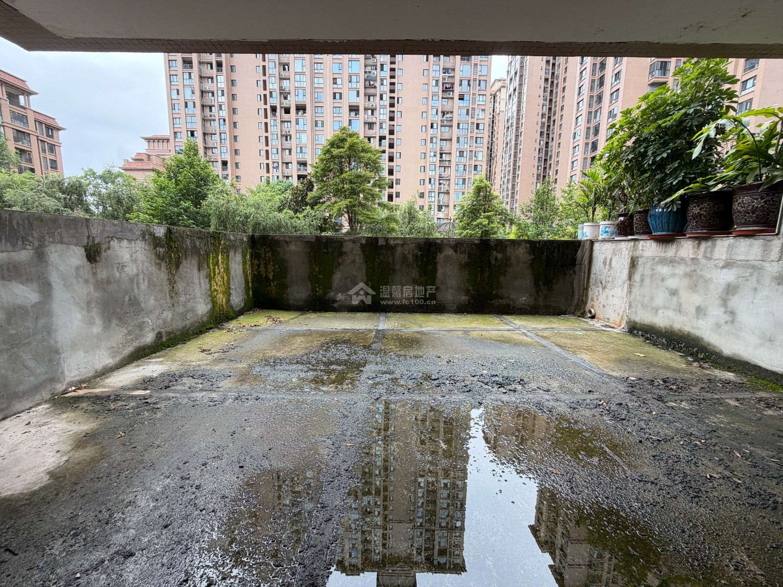 M-42251二手房图片