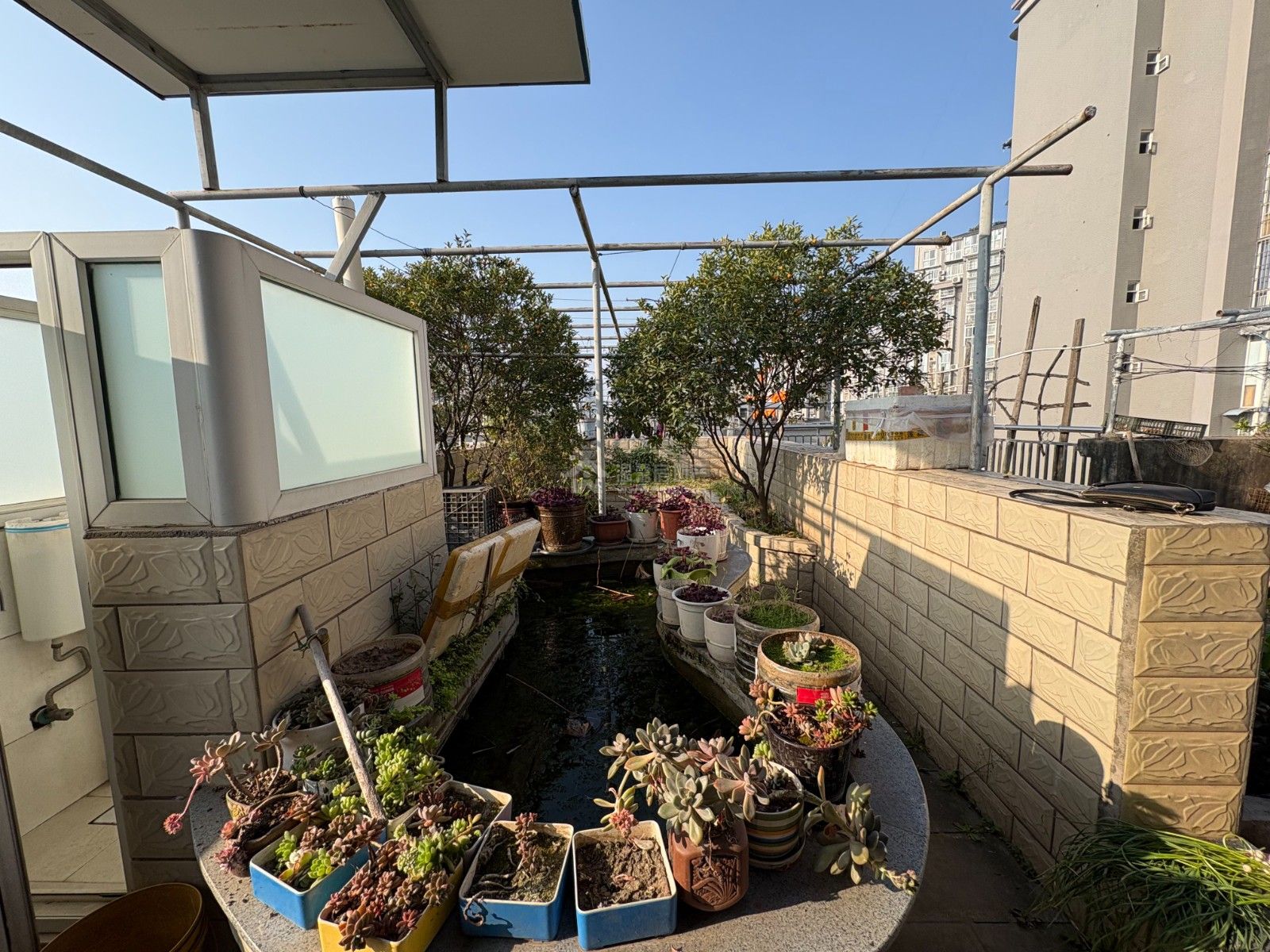 M-42784二手房图片