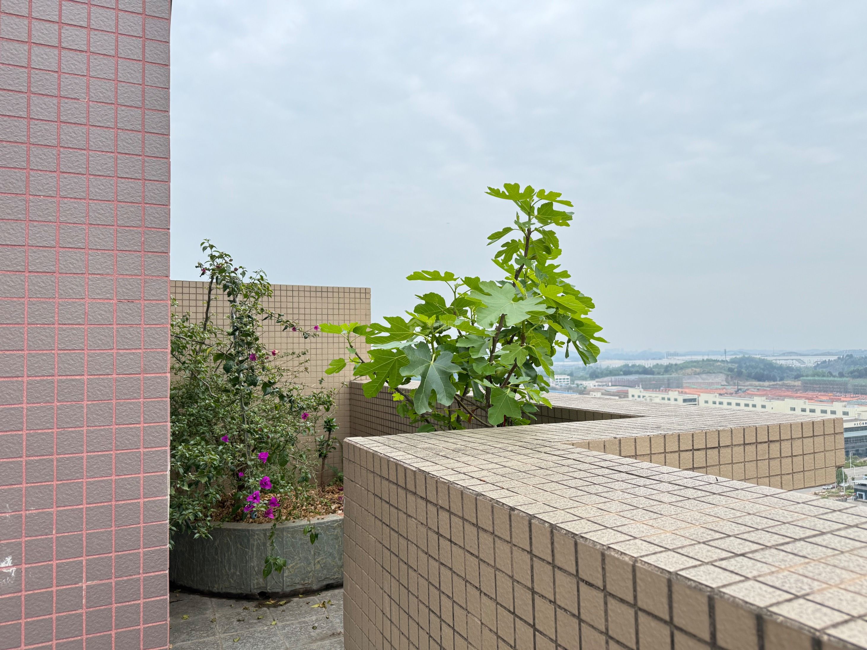 M-44987二手房图片