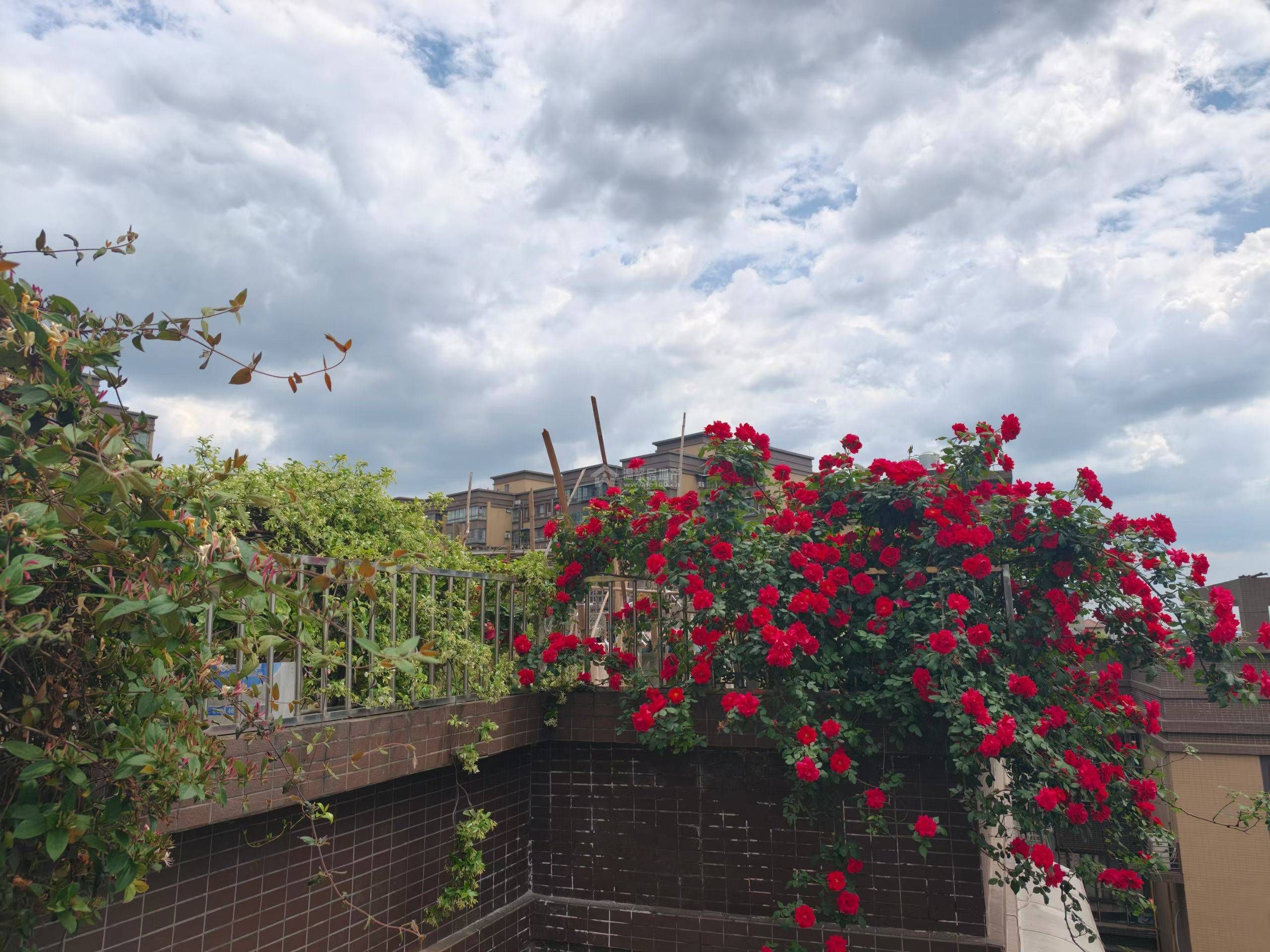 M-45207二手房图片