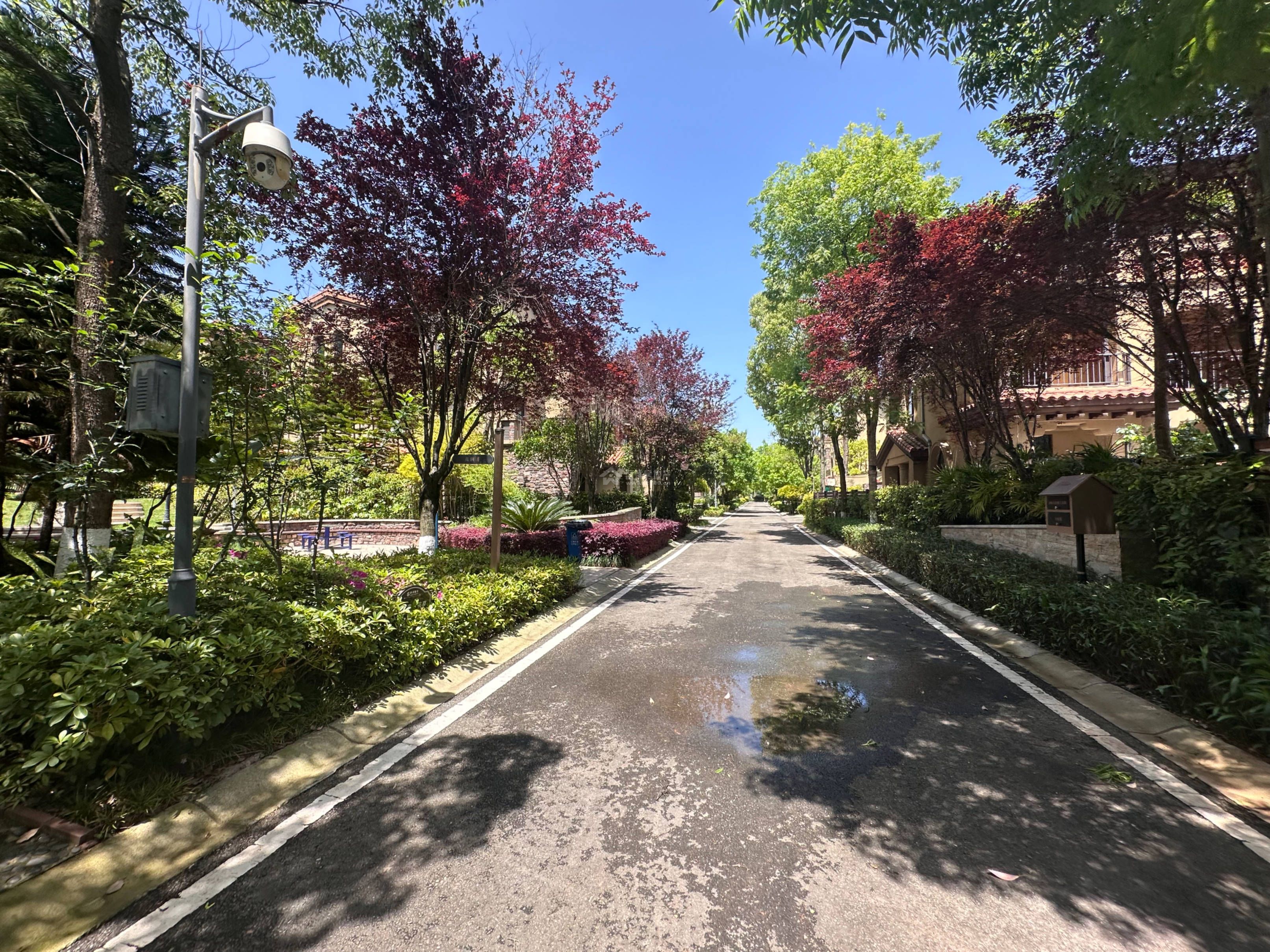 M-45504二手房图片