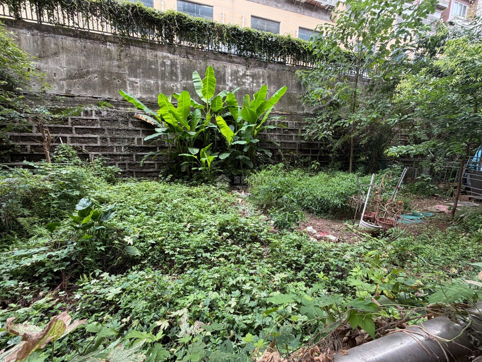 M-48464二手房图片