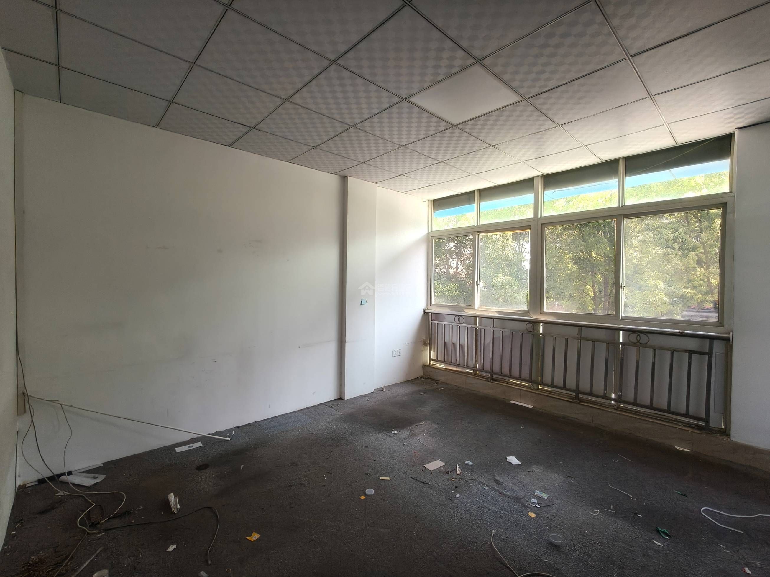 Z-43962二手房图片